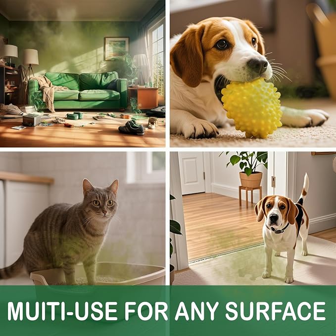 House of Zest FreshAir Home & Pets Odor Eliminator Spray for Home, Pet Odor Remover for Pet, Litter Box, Dog Pee, Cat Urine Odors, Chemical-Free, Plant-Based, Light Citrus Scent, 16 Fl Oz (Pack of 2)