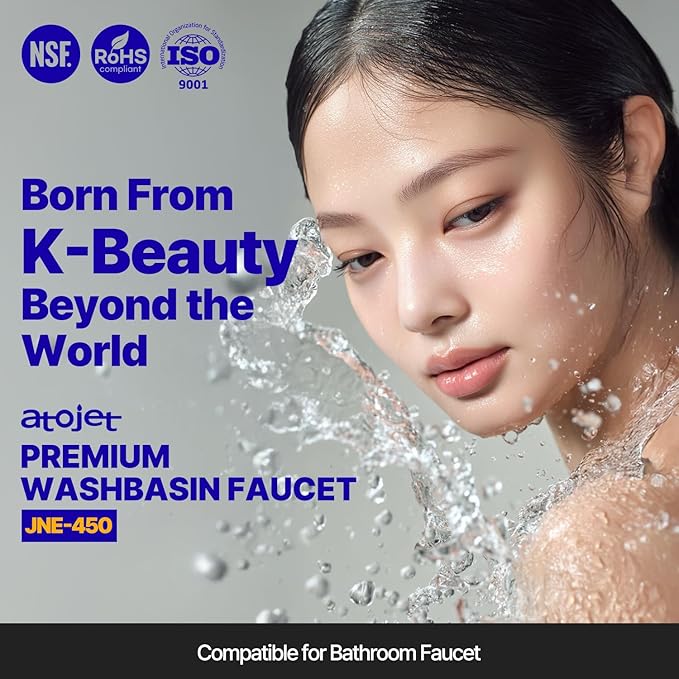 Premium Washbasin Faucet Crafted with Korea’s Beauty Wisdom – Pure Carbon Filters for Bathroom & Kitchen, Carbon Composite, Filtered Faucet 6 Month Set (JNE450-SET-6MO)