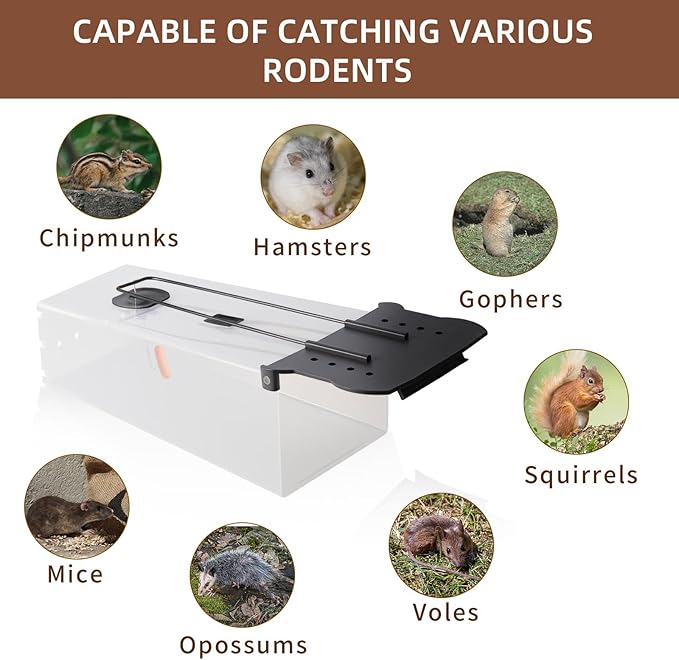 Humane Rat Trap - 2025 Mouse Traps Humane Live, Easy to Catch & Release Rats & Mice, Live Rat Traps for Indoor & Outdoor Use, Reusable Rodent Trap That Work for Home, Yard, Garage (9.37*5.2*3.74in)