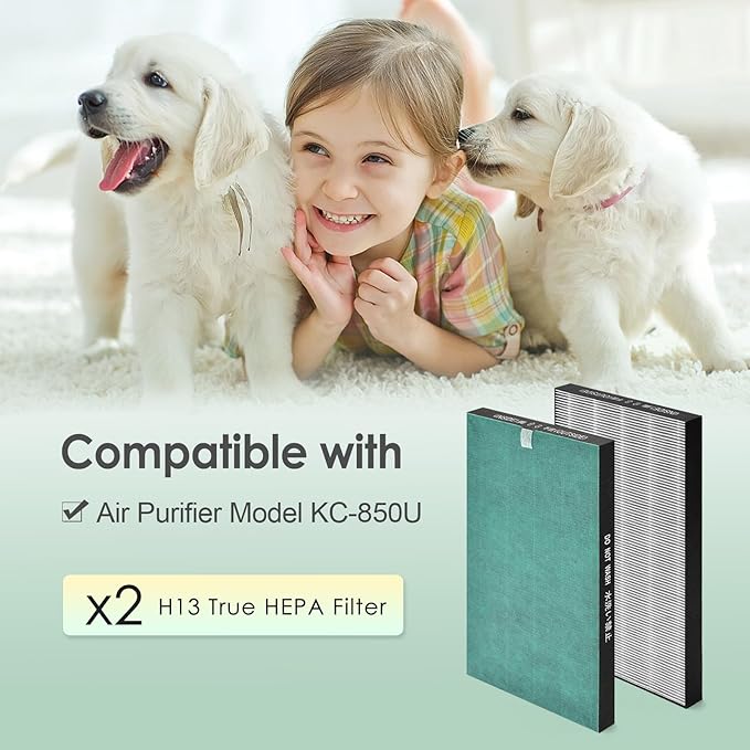 Filter Compatible with Sharp KC-850U & KC-C100U Air Purifier, H13 True HEPA Filter, Compared to Part # FZ-C100HFU, 2-Pack