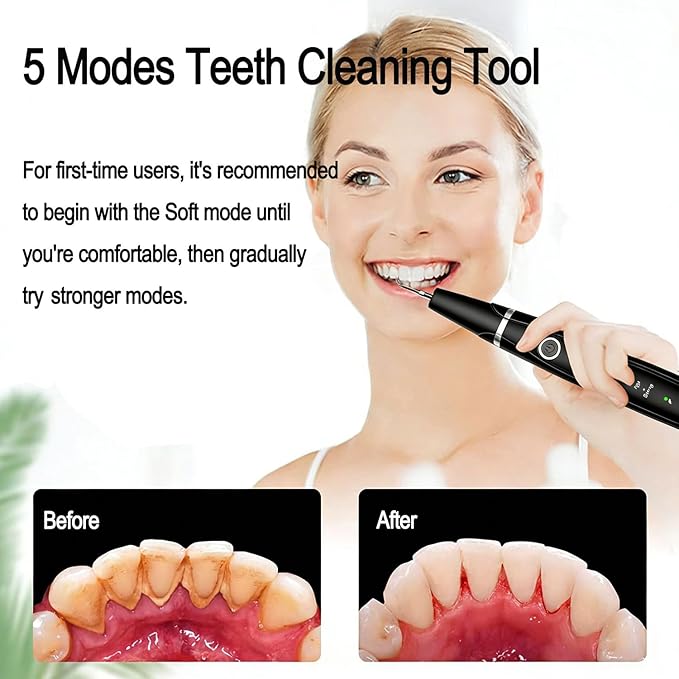 Sonic Electric Toothbrush, Dental Cleaner with LED Light, 5 Modes Teeth Cleaning Tool, 3 Replaceable Heads for Home & Travel, IPX6 Waterproof