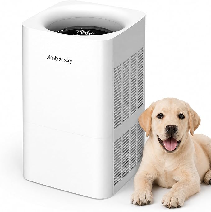 Ambersky Air Purifier for Home, True HEPA Filter for Large Room Up To 2500 Sq Ft, Sleep Mode, 5 Fan Speeds, 360° Air Cleaner for Pet Hair, Smoke, Dust, Odor