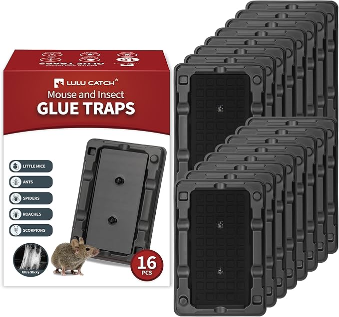 LULUCATCH Mouse & Insect Traps 16 Pack, Heavier Sticky Traps with Non-Toxic Glue for Small Mice & Insects. Sticky Mouse Traps Indoor for Home, Easy to Set