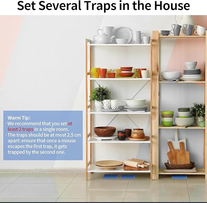 LULUCATCH Mouse & Insect Traps 24 Pack, Heavier Sticky Traps with Non-Toxic Glue for Small Mice & Insects. Sticky Mouse Traps Indoor for Home, Easy to Set