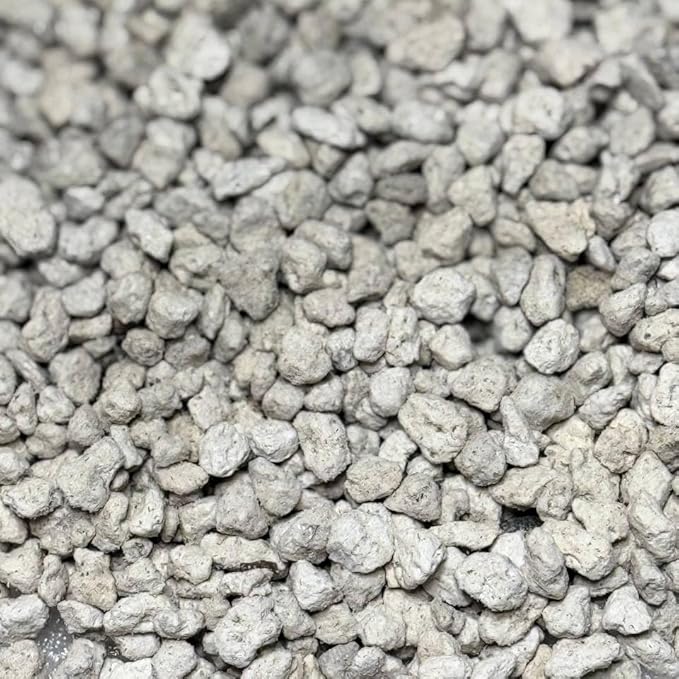 GARDENWISE Horticultural Pumice for Plants, Natural Pumice Stone Soil Amendment, 3/8-1/4 inch, Made in USA (5 quarts - 4.5 lbs)