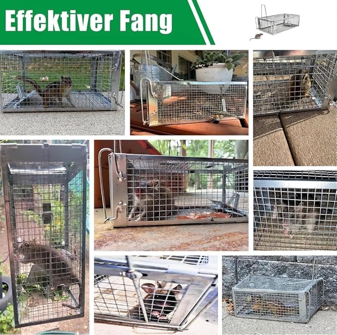 Humane Rat Trap - Catch & Release Chipmunks,Rats & Mice,Live Mouse Trap for Indoor & Outdoor Use ， No-Kill Rodent Trap for Home, Yard, Garage ，Reusable Metal Cage 10.5"x5.5"x4.5"(2pack)