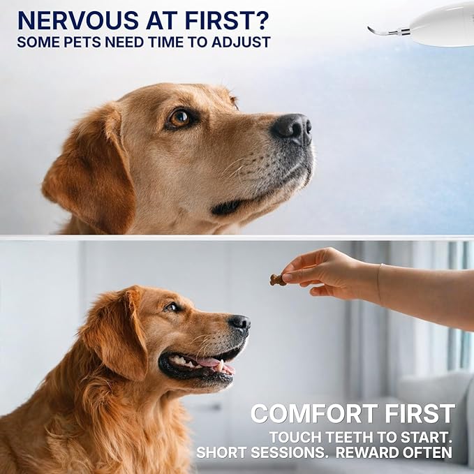 SIRGAWAIN Pet Ultrasonic Dental Cleaner — Plaque, Tartar & Stains Remover, 4 Tips, 3 Modes, LED, Contact-Activated & Smart Touch Protection, Complete Cleaning Kit for Dogs & Cats