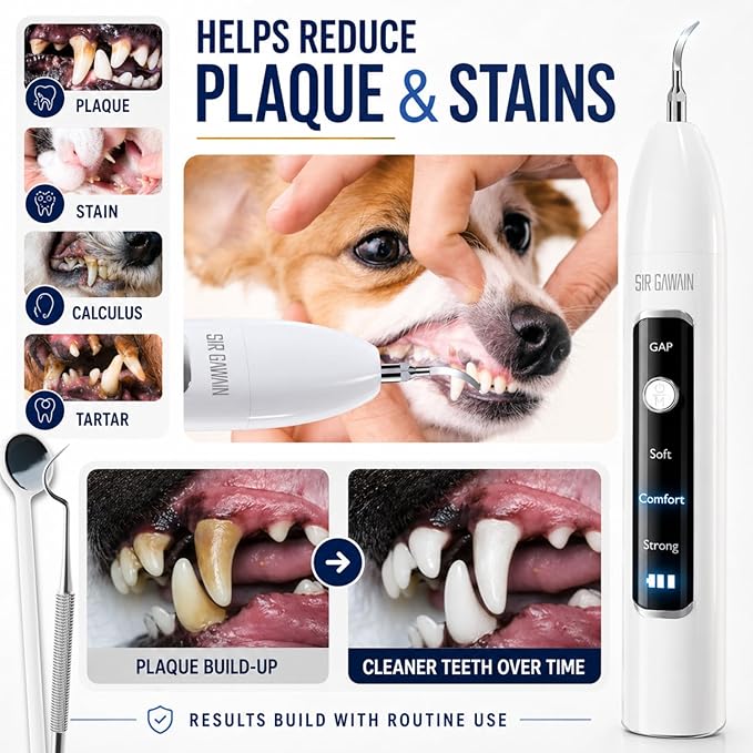 SIRGAWAIN Pet Ultrasonic Dental Cleaner — Plaque, Tartar & Stains Remover, 4 Tips, 3 Modes, LED, Contact-Activated & Smart Touch Protection, Complete Cleaning Kit for Dogs & Cats