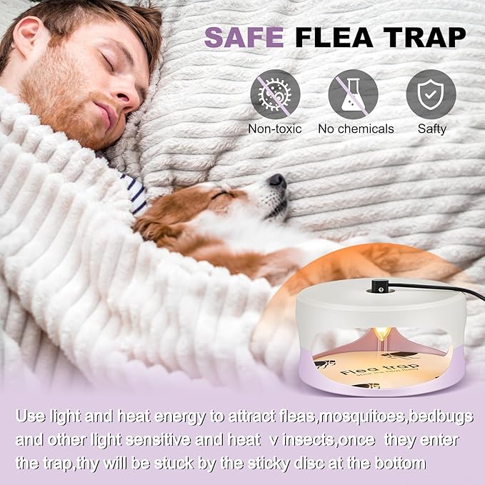 4 Packs Flea Traps for Inside Your Home with 8 Sticky Disc 12 Bulbs 4 Electric Wires Flea Killer Indoor Bed Bug Light Trap for Home Indoor Safe to Pets(White, Purple)