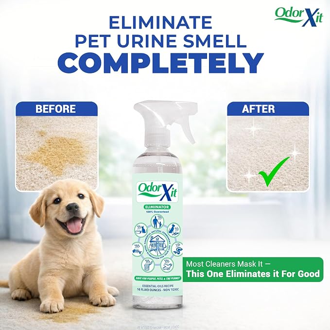 Pet Urine Odor Eliminator Spray, Ideal for Cat, Dog Poo and Urine Smell, Versatile & Natural Odor Neutralizer for Home and Outdoor Use, Ready to Use, 16oz