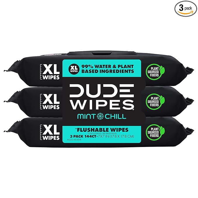 DUDE Wipes Mint Chill Flushable Wipes - Extra-Large Adult Wet Wipes - 3 Pack (144 Count) - Infused with Tea Tree Oil, Vitamin E, and Aloe - Septic and Sewer Safe