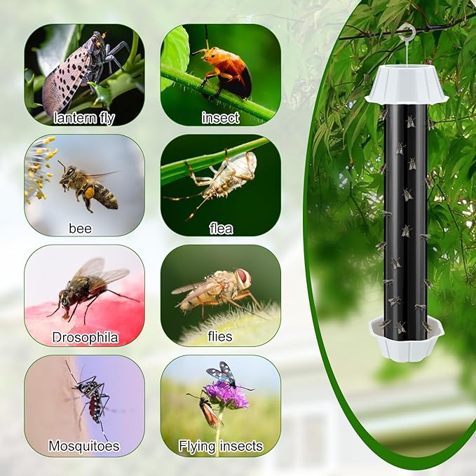 Qualirey Fly Traps for Indoor Outdoor Hanging Fruit Fly Stick Trap Sticky Mosquito for Home Insect 10 x 2.5 Inches(Black,8 Pcs)