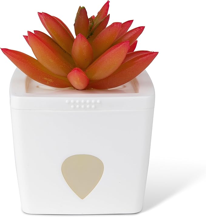 ZendoZones Fruit Fly Traps, 12 Assorted Designs with White Base – Effective Indoor Fruit Fly Control – Eco-Friendly, Easy-to-Use Trapping Solution