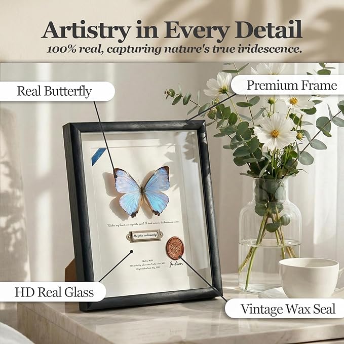 ArsVenciik Real Framed Butterfly Specimen - Preserved Morpho sulkowskyi (Pearl Morpho) Taxidermy - Iridescent Mother of Pearl Shadow Box - Ethereal Wall Art & Handmade Gift for Her