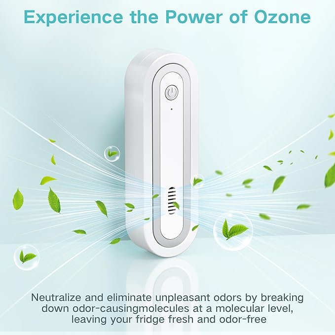 Fridge Deodorizer, Rechargeable with Dual Modes & Compact Design for Refrigerator, Car, Shoe Cabinet to Eliminate Odors and Keep Air Fresh (Silver)