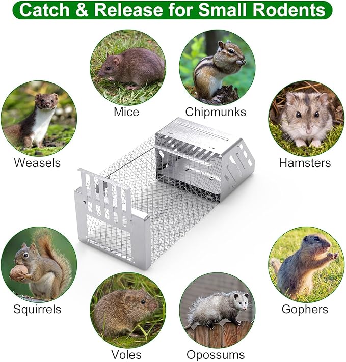 Humane Rat Trap, Automatic Continuous Mouse Cage Single Door Live Animal Trap Cage Indoor Outdoor for Small Rodents Chipmunk Mice Voles, Catch and Release