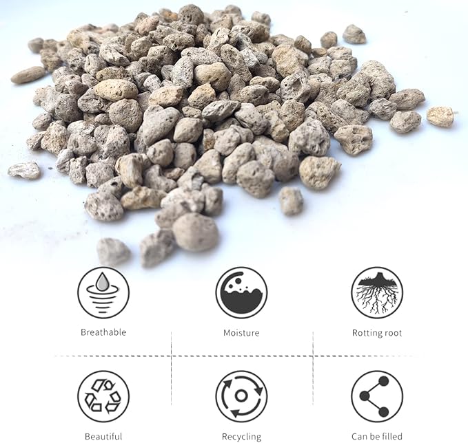 Horticultural Pumice for Plants Professional Sifted (12QT, 1/2 inch)