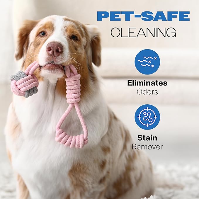 Pet Clean Laundry Detergent, Stain Remover, Oxy Cleaner Powder, Carpet Freshener, Pet Odor Remover, Unscented Enzymatic Laundry Detergent, Safe on Pet Bedding & Fabrics