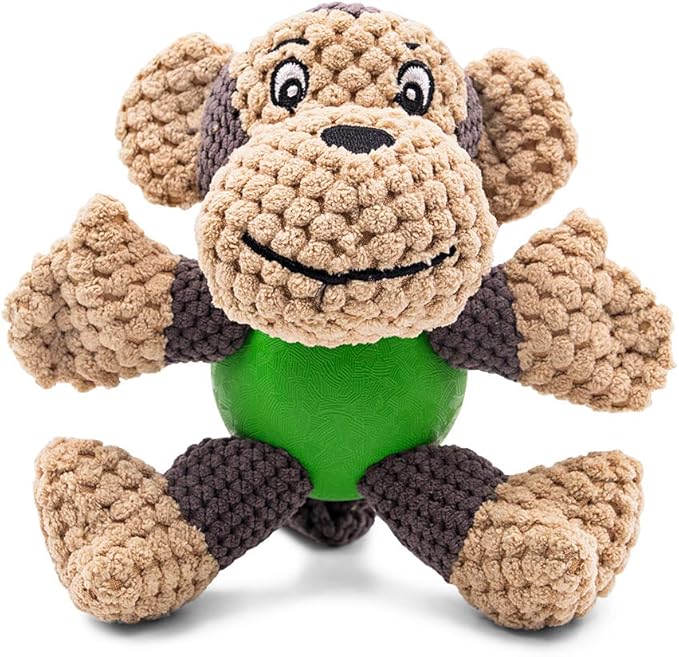Raffaelo Wool Ball and Raffaelo Dog Toy Plush Squeaking Dog Toy Set