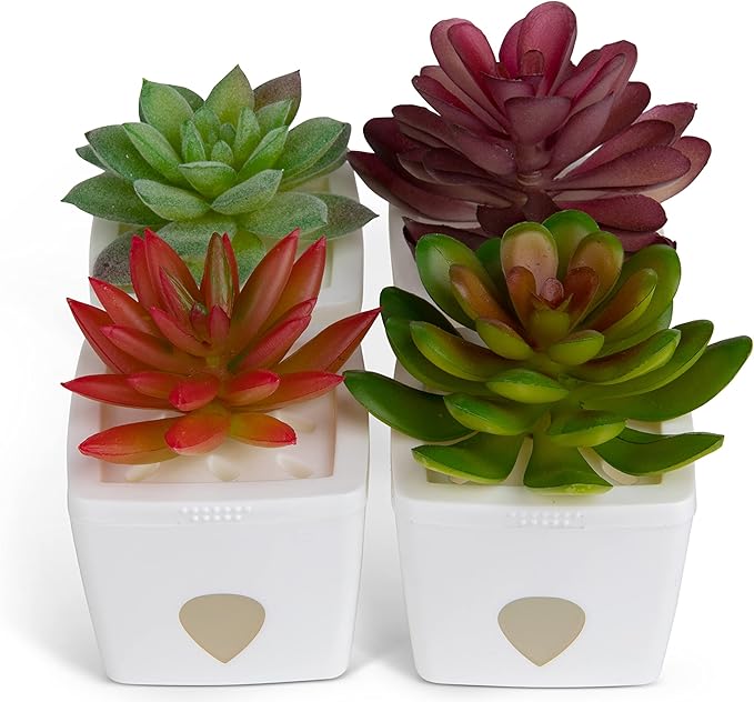 ZendoZones Fruit Fly Traps, 12 Assorted Designs with White Base – Effective Indoor Fruit Fly Control – Eco-Friendly, Easy-to-Use Trapping Solution
