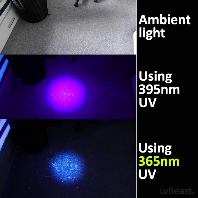 uvBeast V3 365nm Black Light UV Flashlight – High Definition Ultraviolet - HIgh Power and Long Range Professional Grade Beam Best for Professional/Commercial Use – USA Stock