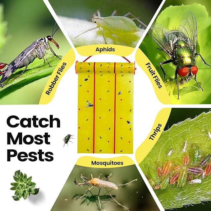 Qualirey Giant Sticky Fly Traps, Fly Strips for Indoor Outdoor Hanging Flying Tapes Non Toxic Ribbon Fruit Gnat Killer for Mosquito Plants House Horse Stable(30 ft,Yellow,15 Pcs)