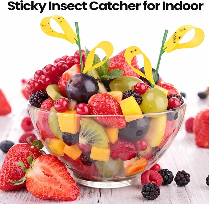 Qualirey 400 Pcs Sticky Houseplant Traps Fungus Gnat Fruit Fly Trap Sticky Houseplant Stakes Insect for Outdoor Garden Aphids, Whiteflies, Fruit Flies, Fungus Gnats, and Other Insects (Yellow)