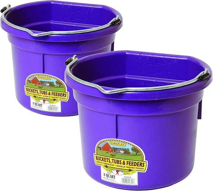 Little Giant P8FBPURPLE 2 Gallon All Purpose Heavy Duty Farm Flat Back Plastic Buckets for Supplies, Toys, Laundry, and Water, Purple, (2 Pack)