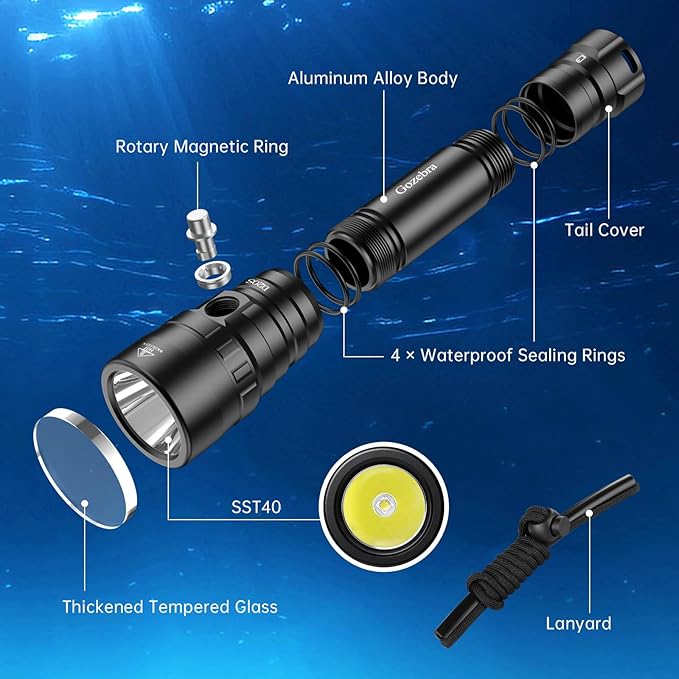 D20S Scuba Diving Light, 2000 Lumens Waterproof Underwater Lights, IPX8 Scuba Diving Flashlight,984ft Long Range Underwater Flashlight for Diving Snorkeling Deep Sea Cave with Charger