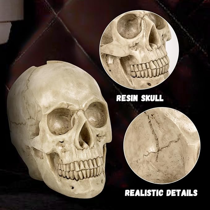 Toilet Brush and Holder Set for Bathroom,Skullduggery Skeleton Gothic Bathroom Decor Toilet Bowl Brush Set,Space Saving for Storage, Drip-Proof, Easy to Assemble, Deep Cleaning