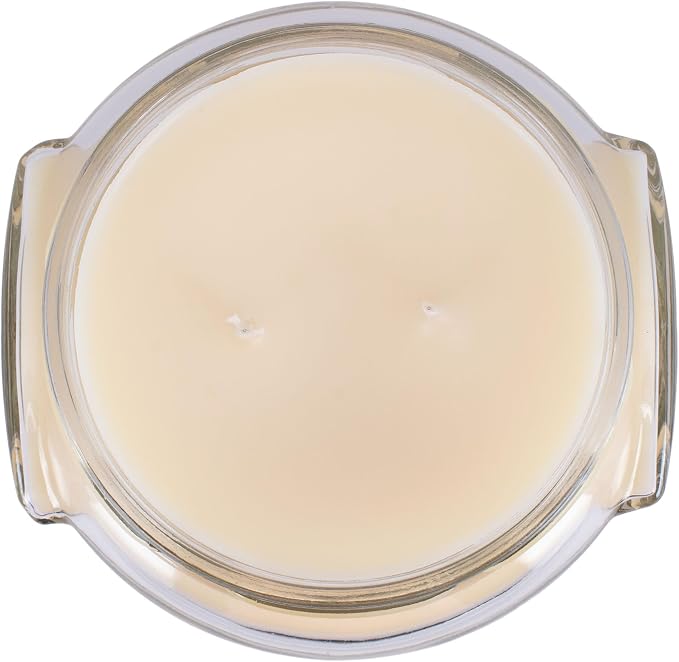 Tyler Candle Company 3128 Blueberry Blitz 3 Ounce Scented Jar Candle for Home or Office, Pack of 2