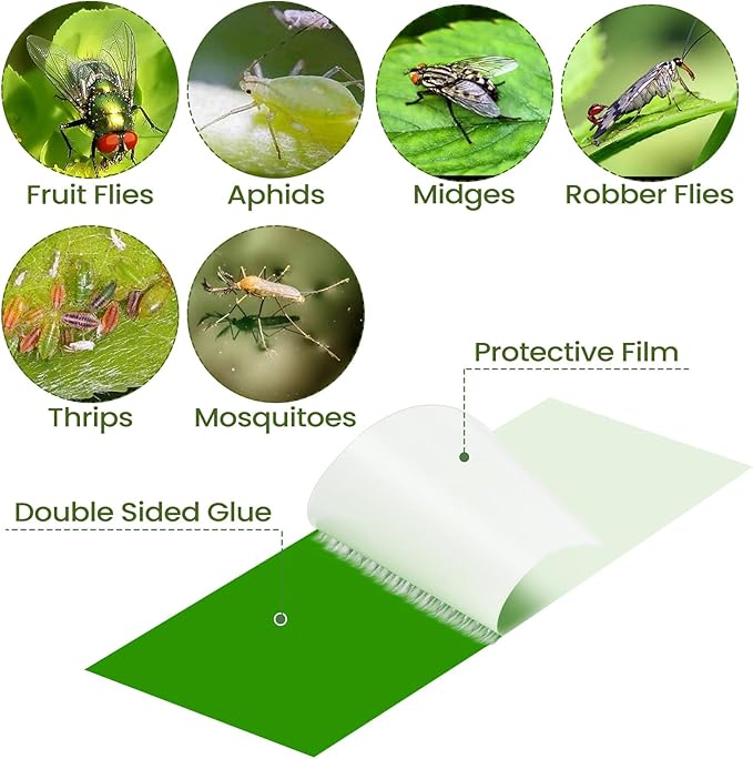 Qualirey 300 Pcs Sticky Houseplant Traps Fungus Gnat Fruit Fly Trap Sticky Houseplant Stakes Insect for Outdoor Garden Aphids, Whiteflies, Fruit Flies, Fungus Gnats, and Other Insects (Green)