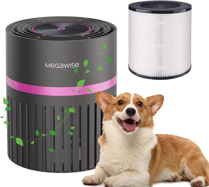 MEGAWISE HEPA Air Purifier for Home & Office, Compact Design with 1 Replacement Filter, Quiet Operation, Suitable for Daily Air Refreshing (Grey)