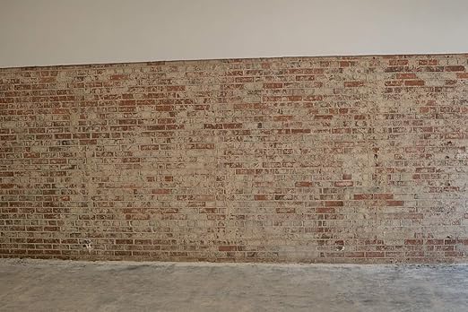MasonryDefender Brick Sealer Satin Sheen - Water Based, Reduces Dust, Easy Clean - 1 Gallon
