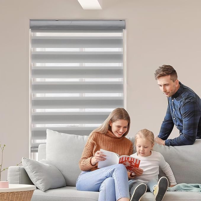 MYshade Roller Shades Zebra Blinds for Indoor Windows Cordless Day and Night Light Filtering Dual Layer Roller Window Blinds & Shades, Easy to Install, Size 43" W x 72" H, Grey