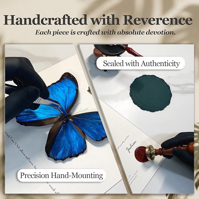 ArsVenciik Real Framed Butterfly Specimen - Preserved Blue Morpho Butterfly Taxidermy (Morpho menelaus) - 8x10 inch Shadow Box Wall Art, Unique Entomology Decor & Handmade Gift for Nature Lovers