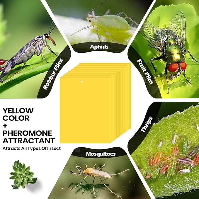 Qualirey 500 Pcs 6x8 Inch Yellow Sticky Traps for Gnats, Dual-Sided Sticky Gnat Traps for Indoor Outdoor, Fly Catcher for Fungus Gnats, Fruit Flies, Whiteflies– Bulk Pack with Twist Ties