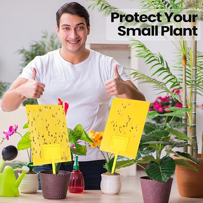 Qualirey 200 Pcs Yellow 6 x 8 Inch Sticky Traps for Gnats Dual Sided Fruit Fly Sticky Traps for Indoor and Outdoor Plant with Twist Ties and Plastic Holders for Fungus Gnats, Bug, Flying Insect