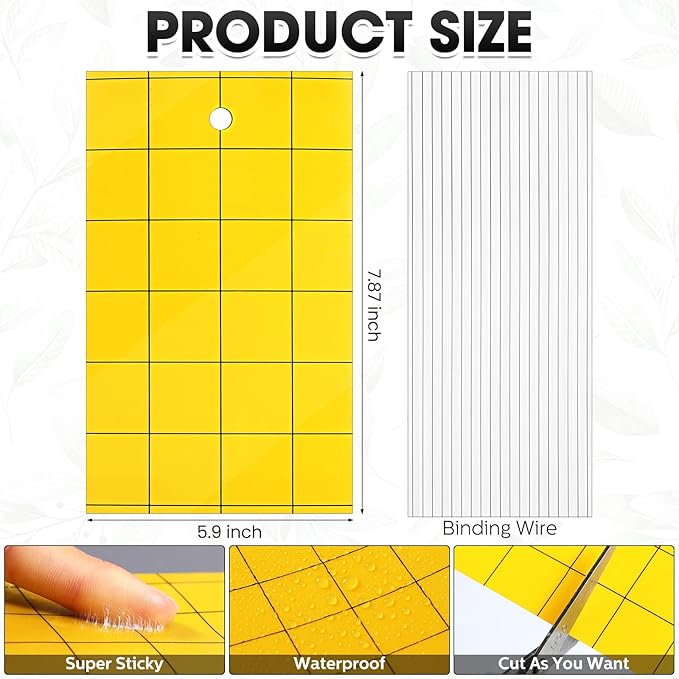 Qualirey 200 Pcs 6'' X 8'' Sticky Trap for Gnats Dual Side Sticky Fruit Fly Trap with Tie Plant for Flying Insect Fungus Bugs Flying Catcher for Indoor