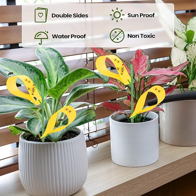 Qualirey 300 Pcs Sticky Houseplant Traps Fungus Gnat Fruit Fly Trap Sticky Houseplant Stakes Insect for Outdoor Garden Aphids, Whiteflies, Fruit Flies, Fungus Gnats, and Other Insects (Yellow)