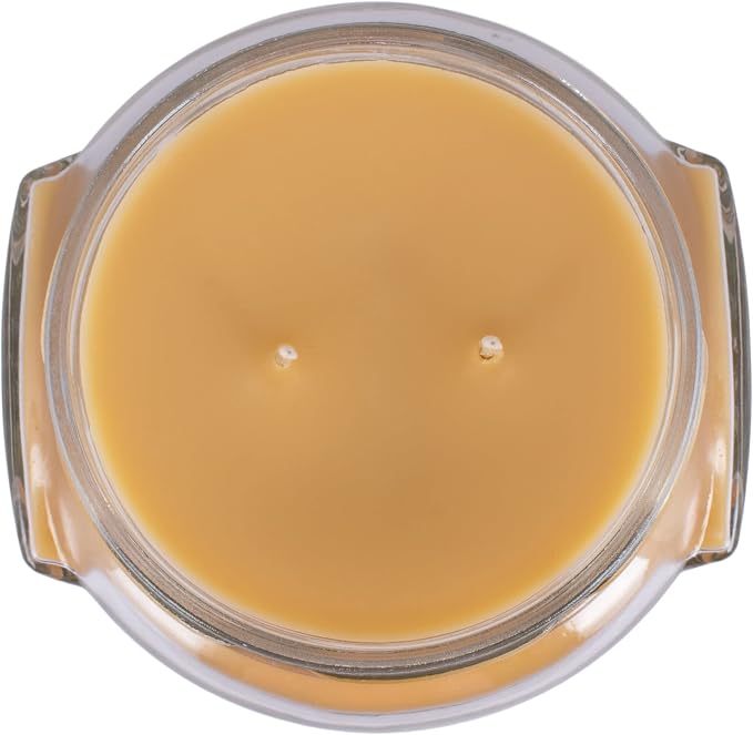 Tyler Candle Company 3109 Mulled Cider 3 Ounce Scented Jar Candle for Home or Office, Pack of 2