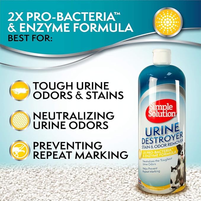 Simple Solution Urine Destroyer Enzymatic Cleaner, Urine Remover, Dog Stains, Pet Stain and Odor Remover, Odor Destroyer, 2X Pro-bacteria Cleaning Power, 32 Ounces