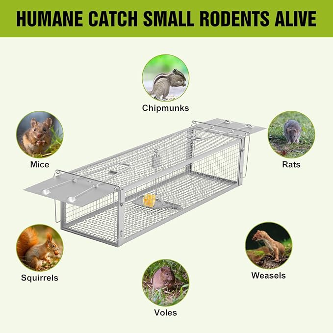 2-Door Humane Live Animal Trap – Catch and Release Cage for Rats, Mice, Chipmunks, Squirrels | Reusable Indoor Outdoor Rat Trap | 16.53 x 6.1 x 4.33 Inch