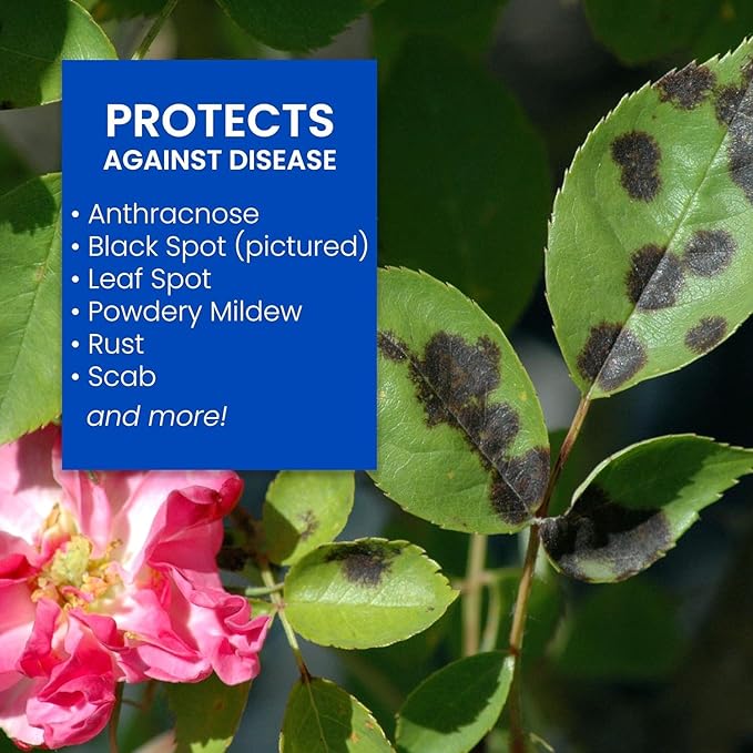 NATRIA Armyworm Pheromone Trap, Ready-to-Use, (1-Pack) with BioAdvanced 3-in-1 Insect, Disease and Mite Control, Ready-to-Use, 24 oz