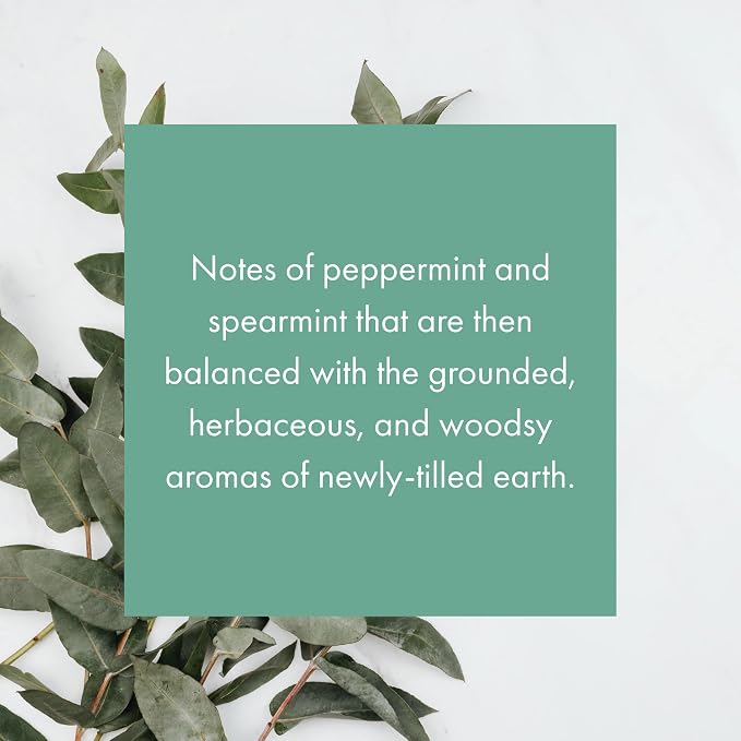ScentAir Whisper Home Monthly Plug-in Refill, Fragrance Cartridge for Home and Office, Eucalyptus Mint