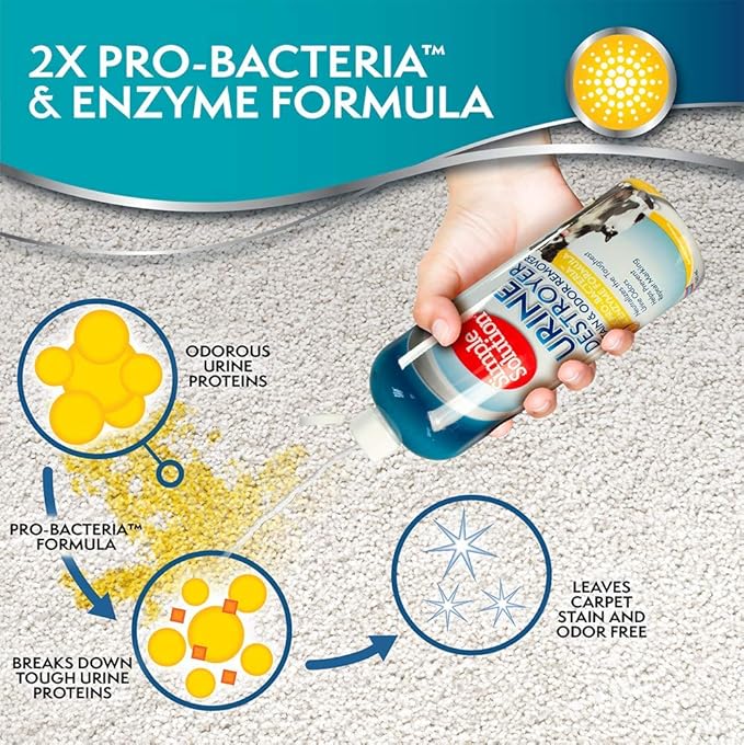 Simple Solution Urine Destroyer Enzymatic Cleaner, Urine Remover, Dog Stains, Pet Stain and Odor Remover, Odor Destroyer, 2X Pro-bacteria Cleaning Power, 32 Ounces