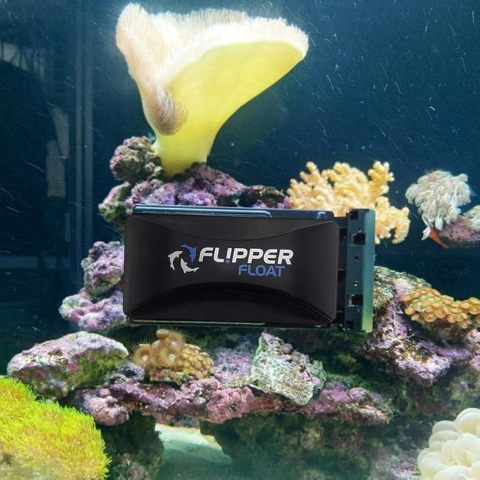 Flipper Cleaner Float - 2-in-1 Floating Magnetic Aquarium Glass Cleaner - Standard Aquarium Scraper Replacement Blades for Fish Tank Cleaning Kits - Aquarium Cleaner Fish Food Feeding