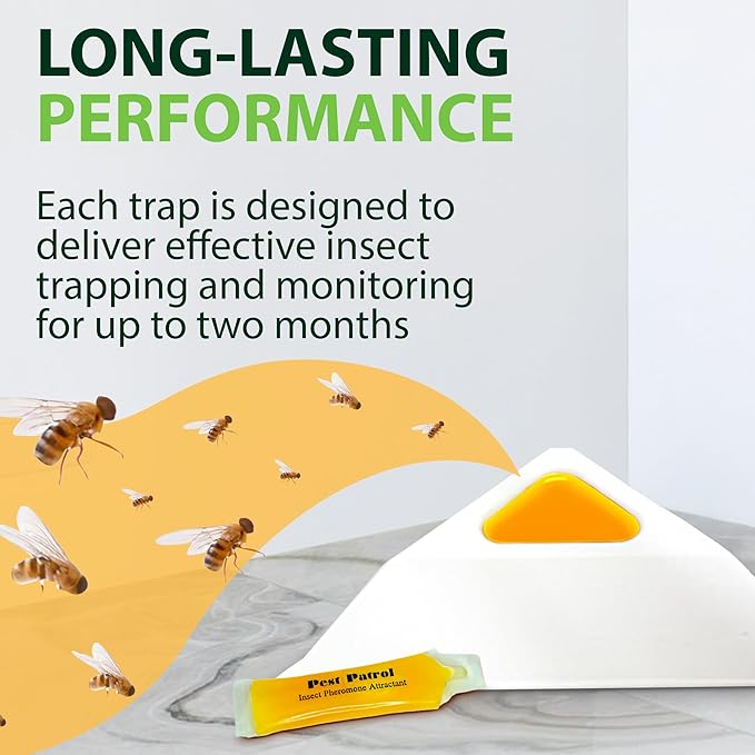 Greenway Pantry Patrol Traps, Non-Toxic Pantry Moth and Insect Control, Gel-Based for Flour Beetles, Grain Storage, and Kitchen Use, 1 Pack (Includes 2 Traps and 2 Lures)
