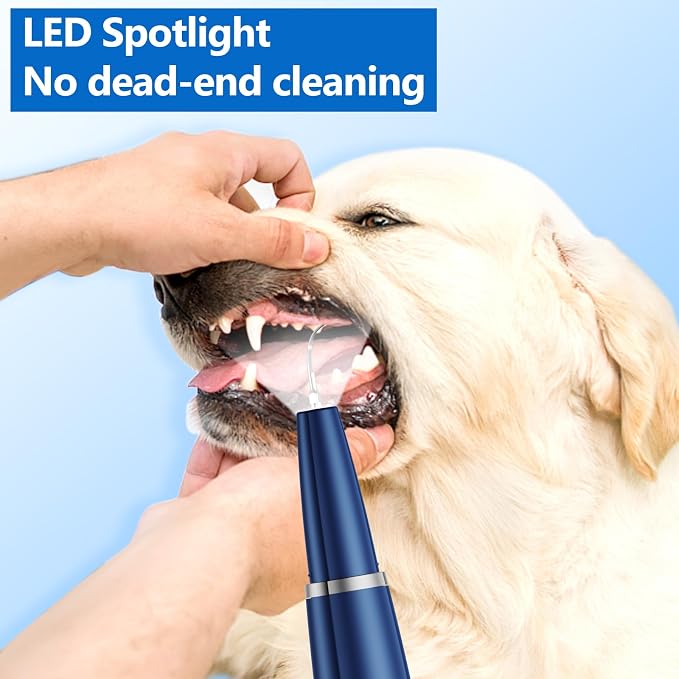Ni-SHEN Dog Plaque Remover for Teeth,Pet Ultrasonic Tooth Cleaner,Teeth Cleaning Kit -Tartar Remover for Teeth Stains for Dogs and Cats (Blue)