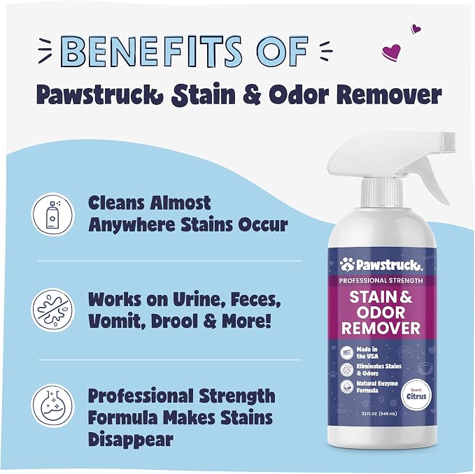 Pawstruck Professional Strength Pet Stain & Odor Remover - Natural Enzyme Cleaning Solution for Dogs & Cats - Safe and Effective Smell Eliminator - 32 oz - Packaging May Vary
